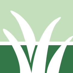 Grass Fertilizing Service Pros