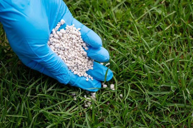 Grass Fertilizing Service