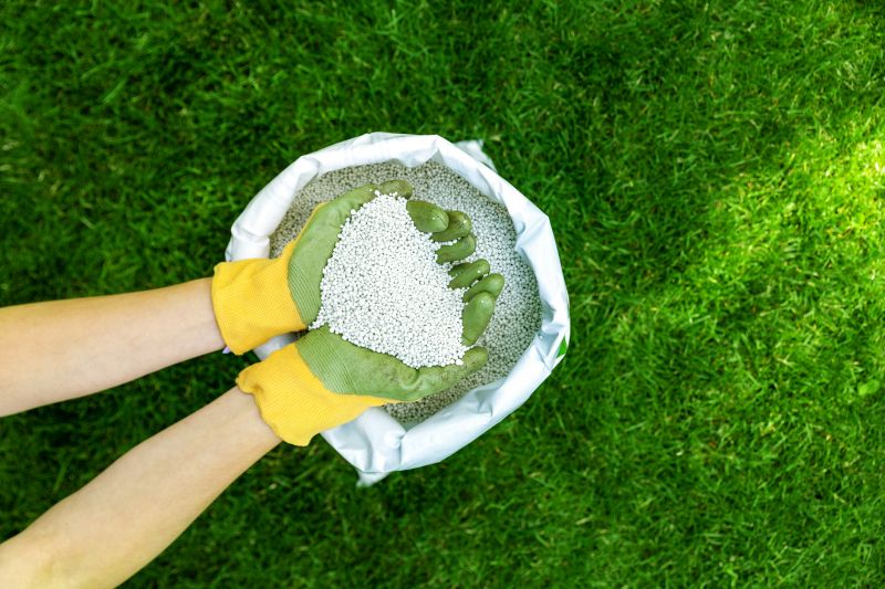 Lawn Fertilizing Service